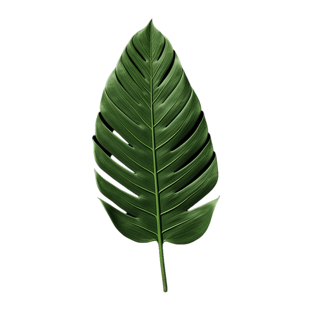 leaf2.png