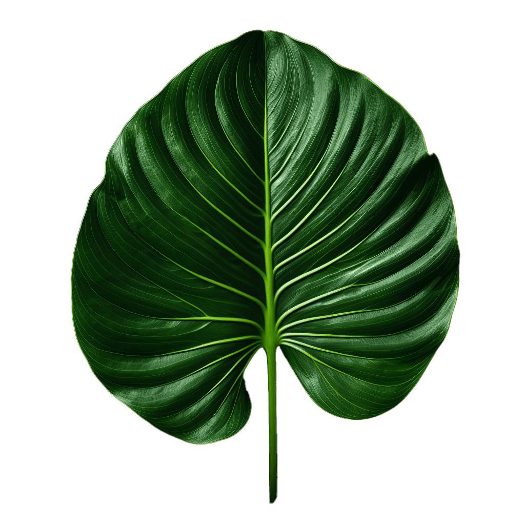 leaf5.png